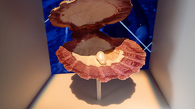 p4280067_thumb.jpg