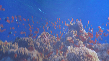 p4280072_thumb.jpg