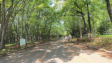 gx013074.mp4_snapshot_03.31_thumb.jpg