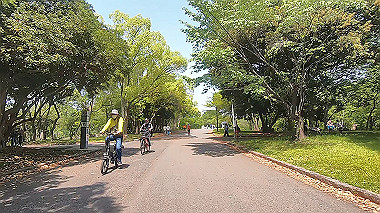gx013075.mp4_snapshot_00.07_thumb.jpg