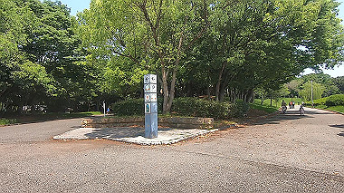 gx013077.mp4_snapshot_00.49_thumb.jpg