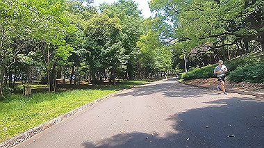 gx013077.mp4_snapshot_01.17_thumb.jpg