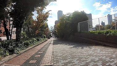 gx013655.mp4_snapshot_00.39_thumb.jpg