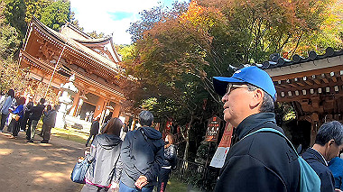 gx014011.mp4_snapshot_00.16_thumb.jpg