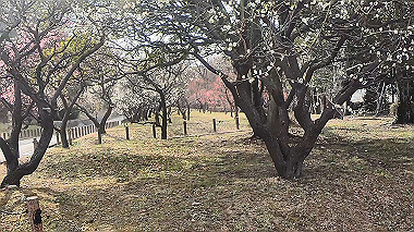 gx014894.mp4_snapshot_00.01_thumb.jpg