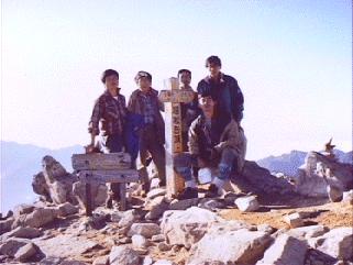 �����T�N�u�����x�̎ʐ^�P�v