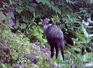 �����U�N�u��t�x�̎ʐ^�R�v