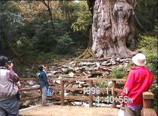 �����W�N�u���v���̎ʐ^�R�v