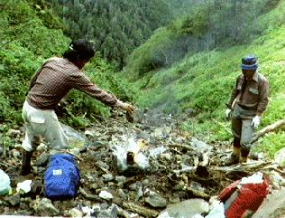 ���a�T7�N�u���V�����̎ʐ^�P�v