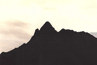 19810810_034_thumb.jpg