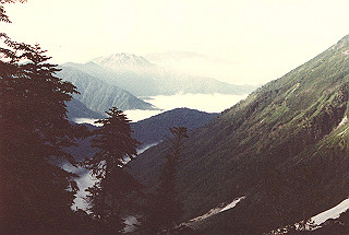 19810810_037_thumb.jpg