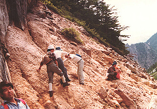 19830810_118_thumb.jpg