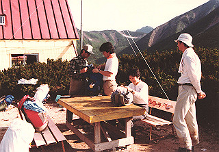 19830812_102_thumb.jpg