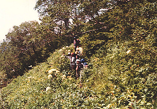 19830813_027_thumb.jpg