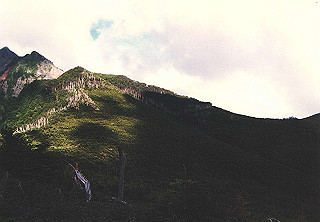 198608_016_thumb.jpg