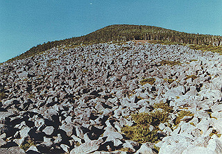 198608_017_thumb.jpg