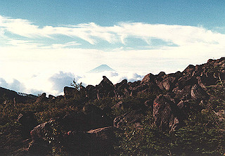 198608_018_thumb.jpg