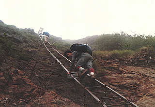 198608_024_thumb.jpg