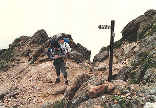 198608_025_thumb.jpg