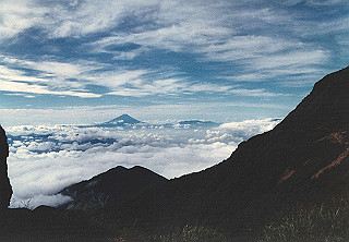 198608_049_thumb.jpg