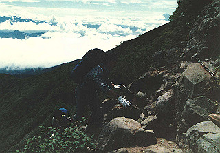 198608_063_thumb.jpg