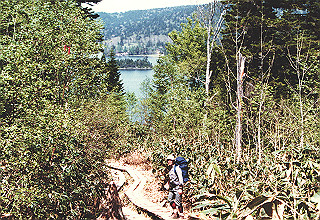198706_005_thumb.jpg