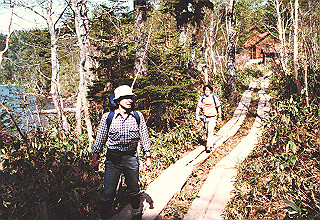 198706_010_thumb.jpg