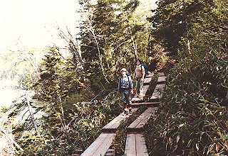 198706_012_thumb.jpg