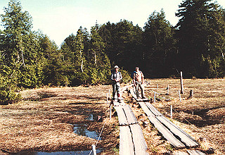 198706_016_thumb.jpg