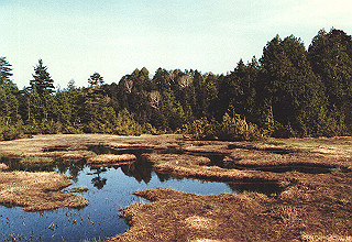 198706_017_thumb.jpg