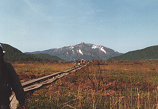 198706_023_thumb.jpg