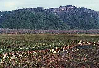 198706_025_thumb.jpg