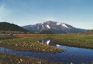 198706_027_thumb.jpg