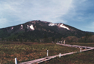 198706_029_thumb.jpg