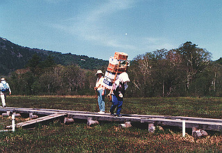 198706_030_thumb.jpg