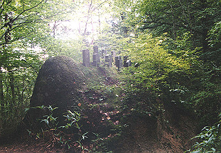 19910808_004_thumb.jpg