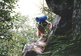 19910808_006_thumb.jpg
