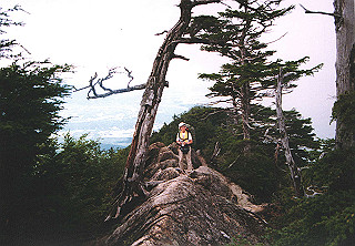 19910808_009_thumb.jpg