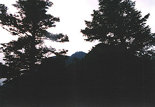 19910808_016_thumb.jpg