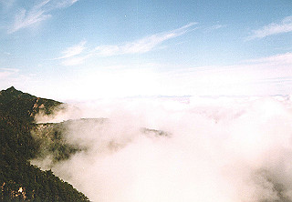19910809_008_thumb.jpg