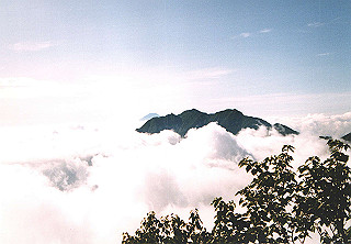 19910809_010_thumb.jpg