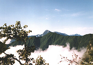 19910809_013_thumb.jpg