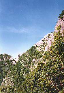 19910809_014_thumb.jpg