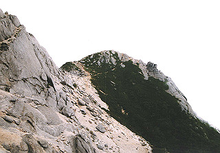 19910809_026_thumb.jpg