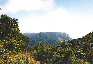 19910810_004_thumb.jpg