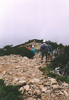 19910810_016_thumb.jpg