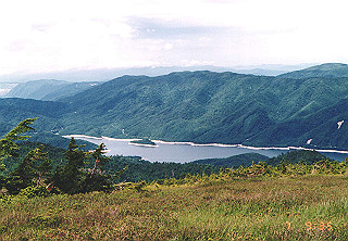 19920807_021_thumb.jpg