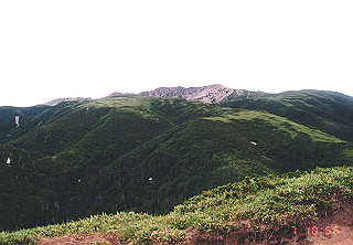 19920807_029_thumb.jpg
