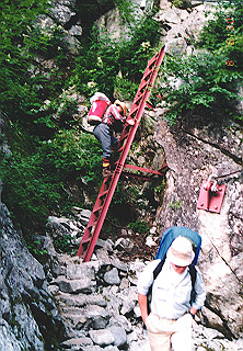 19920808_004_thumb.jpg