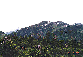 19920808_031_thumb.jpg